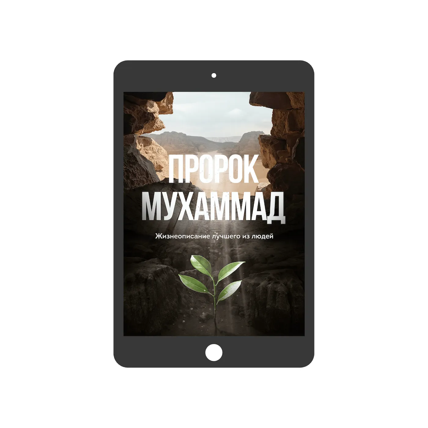 Пророк Мухаммад. Жизнеописание (электронная)