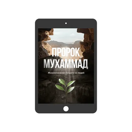Пророк Мухаммад. Жизнеописание (электронная)
